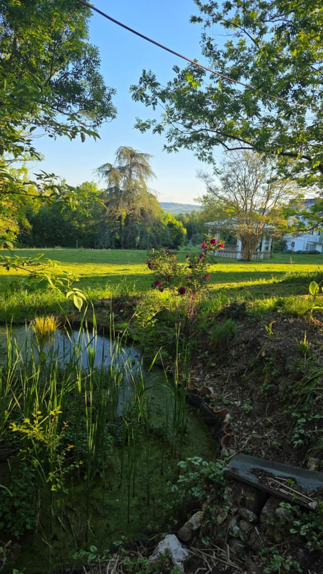 Chateau De Pourpry Damiatte Eksteriør bilde